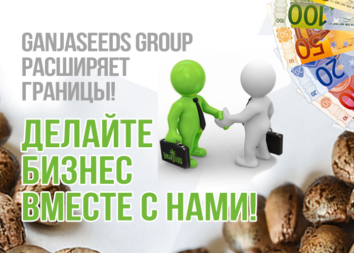 Семена конопли оптом Семена конопли оптом