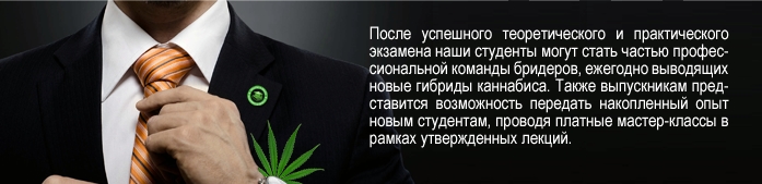 Возможность стать частью большой команды Возможность стать частью большой команды