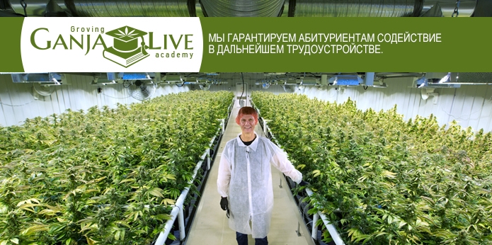 Возможность стать частью большой команды Возможность стать частью большой команды