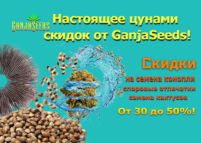 Автоцветы, споровые отпечатки и семена кактусов по скидкам до 50% - налетай! Автоцветы, споровые отпечатки и семена кактусов по скидкам до 50% - налетай!