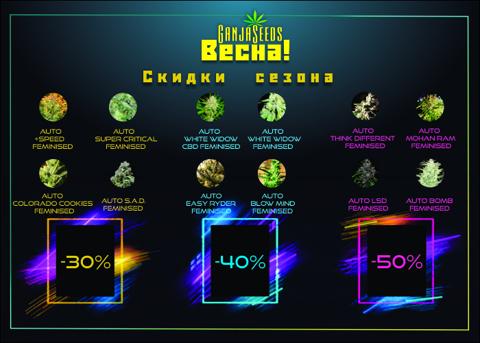 GanjaSeeds приглашает на семидневный шопинг с 50% скидкой! GanjaSeeds приглашает на семидневный шопинг с 50% скидкой!