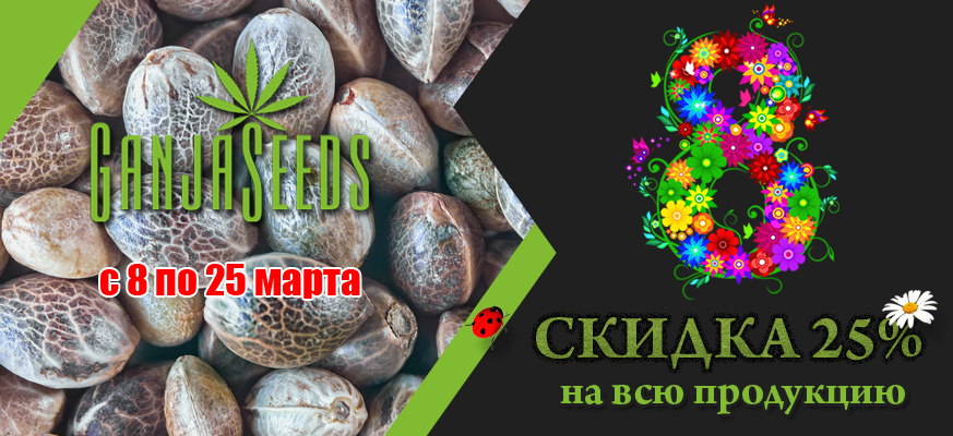 Весенние скидки на семена конопли 25% Весенние скидки на семена конопли 25%