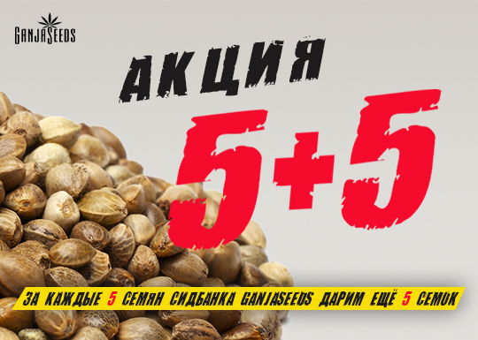 Заберите свои бонусные семена! Заберите свои бонусные семена!