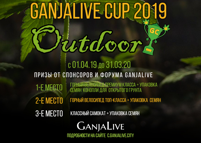 GanjaLive Cup 2019 - Outdoor»: GanjaLive Cup 2019 - Outdoor»: