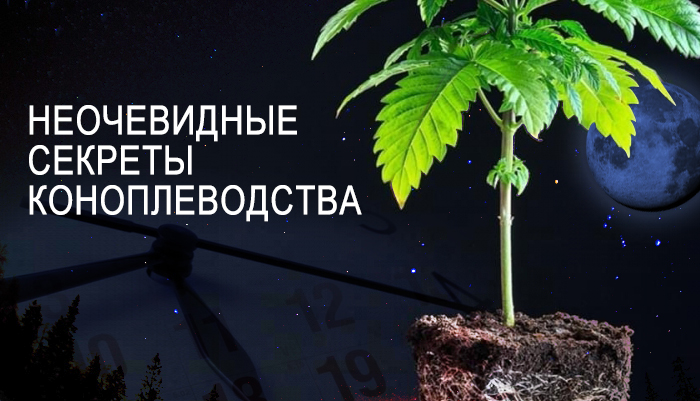 Лунный календарь Лунный календарь