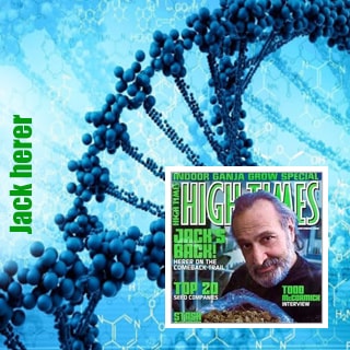 Jack Herer Jack Herer