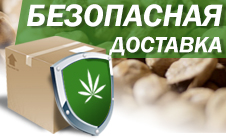 Заказывать товары в магазине безопасно! Заказывать товары в магазине безопасно!