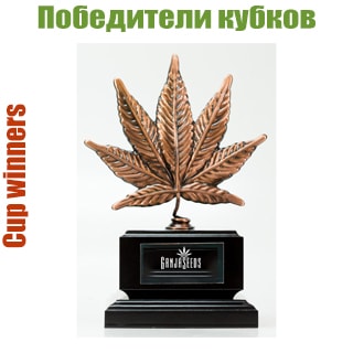 Победители кубка Победители кубка
