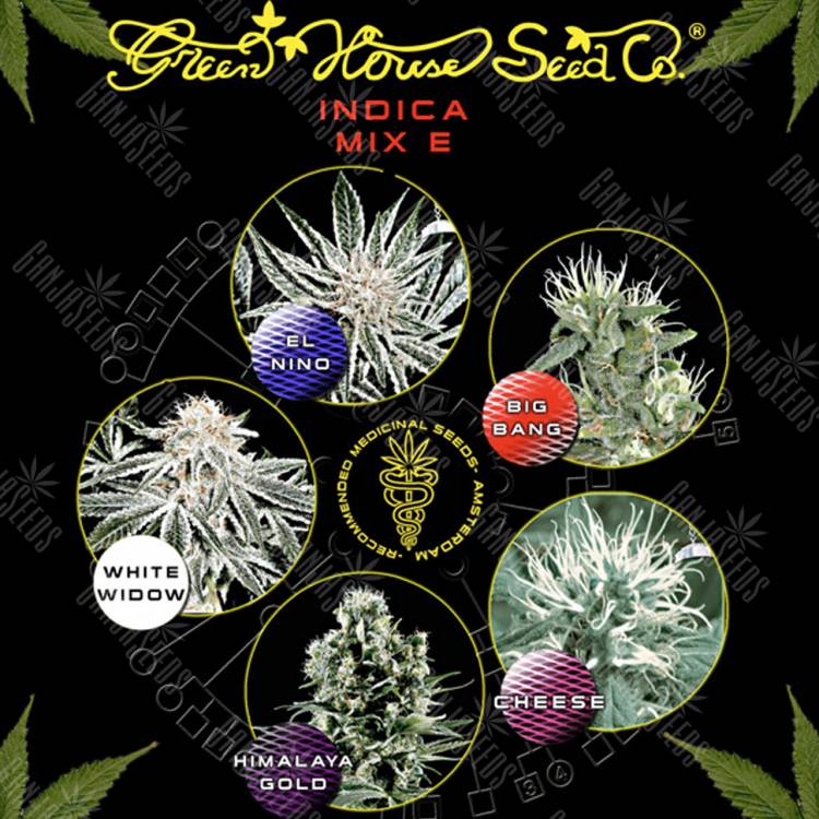 семена конопли Москва Indica Mix E feminised Green House Seeds